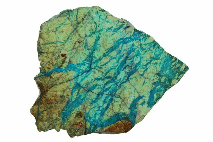 Polished Blue River Chrysocolla Slice - Arizona #303037